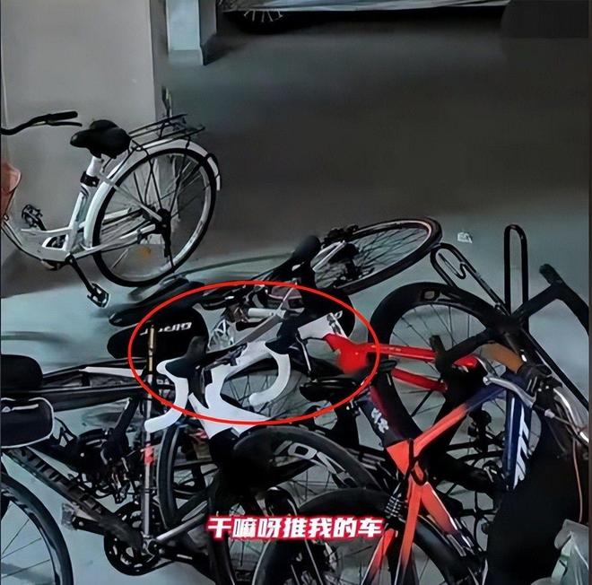 案车损报价比电车贵女子回应太霸道新葡京女子推倒自行车后续：已立(图4)