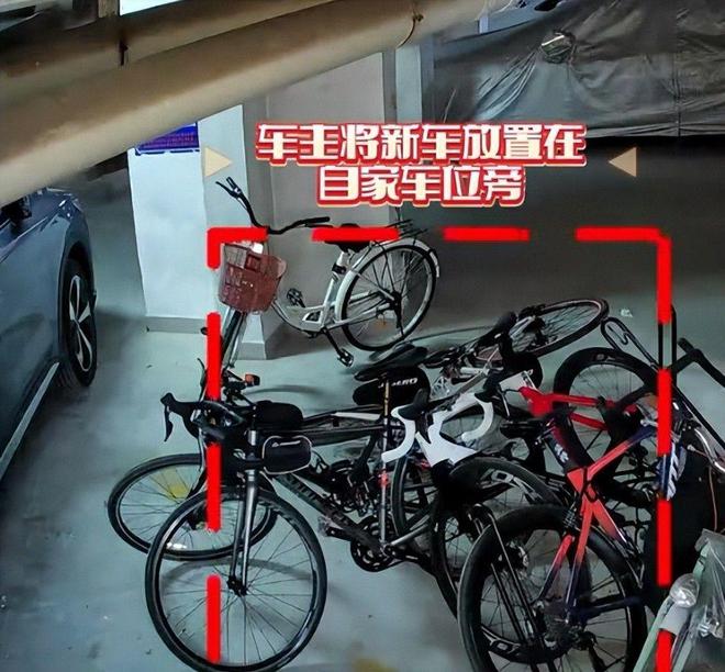 案车损报价比电车贵女子回应太霸道新葡京女子推倒自行车后续：已立(图9)