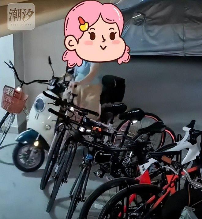 案车损报价比电车贵女子回应太霸道新葡京女子推倒自行车后续：已立(图13)