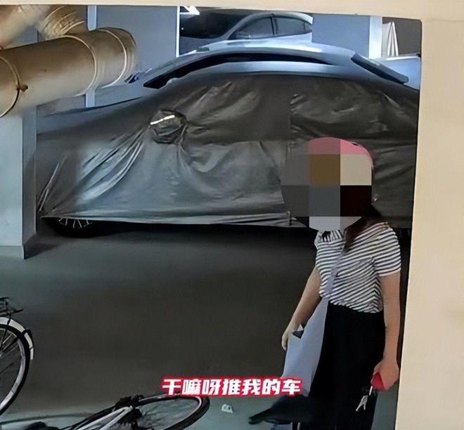 案车损报价比电车贵女子回应太霸道新葡京女子推倒自行车后续：已立(图12)